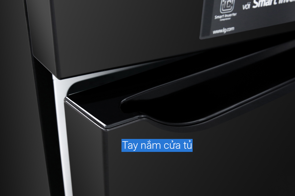 Hình ảnh sản phẩm - [GN-D255BL] Tủ Lạnh LG Inverter 255 Lít