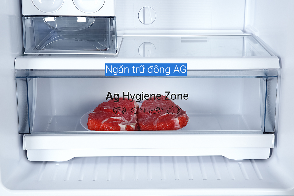 Hình ảnh sản phẩm - [NR-TV301VGMV] Tủ lạnh Panasonic Inverter 268 lít 