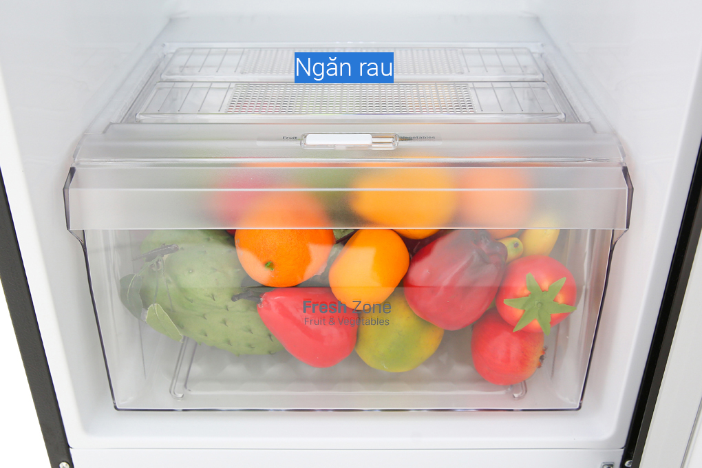 Hình ảnh sản phẩm - [GN-D255BL] Tủ Lạnh LG Inverter 255 Lít