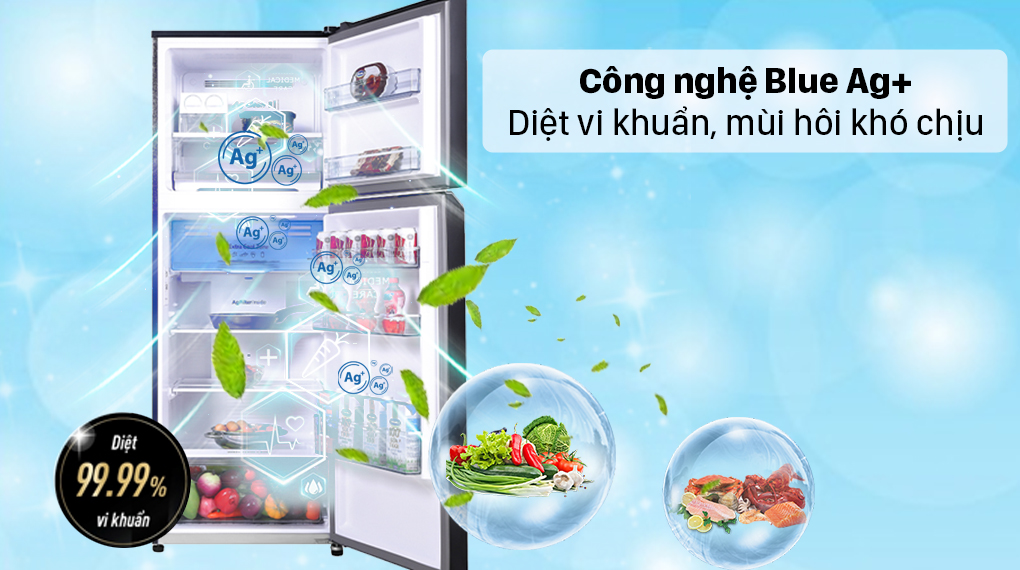 Tủ lạnh Panasonic Inverter 366 lít NR-TL381VGMV - Công nghệ Blue Ag+