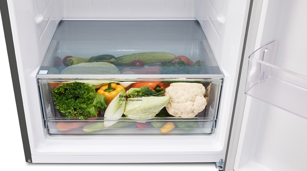 Tủ lạnh LG Inverter 459 lít LTD46SVMA - Ngăn lạnh