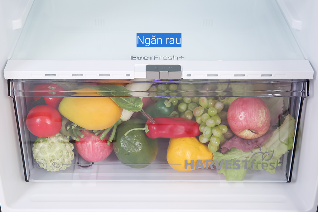 Hình ảnh sản phẩm - [RDNT371E50VZGB] Tủ lạnh Beko Inverter 340 lít