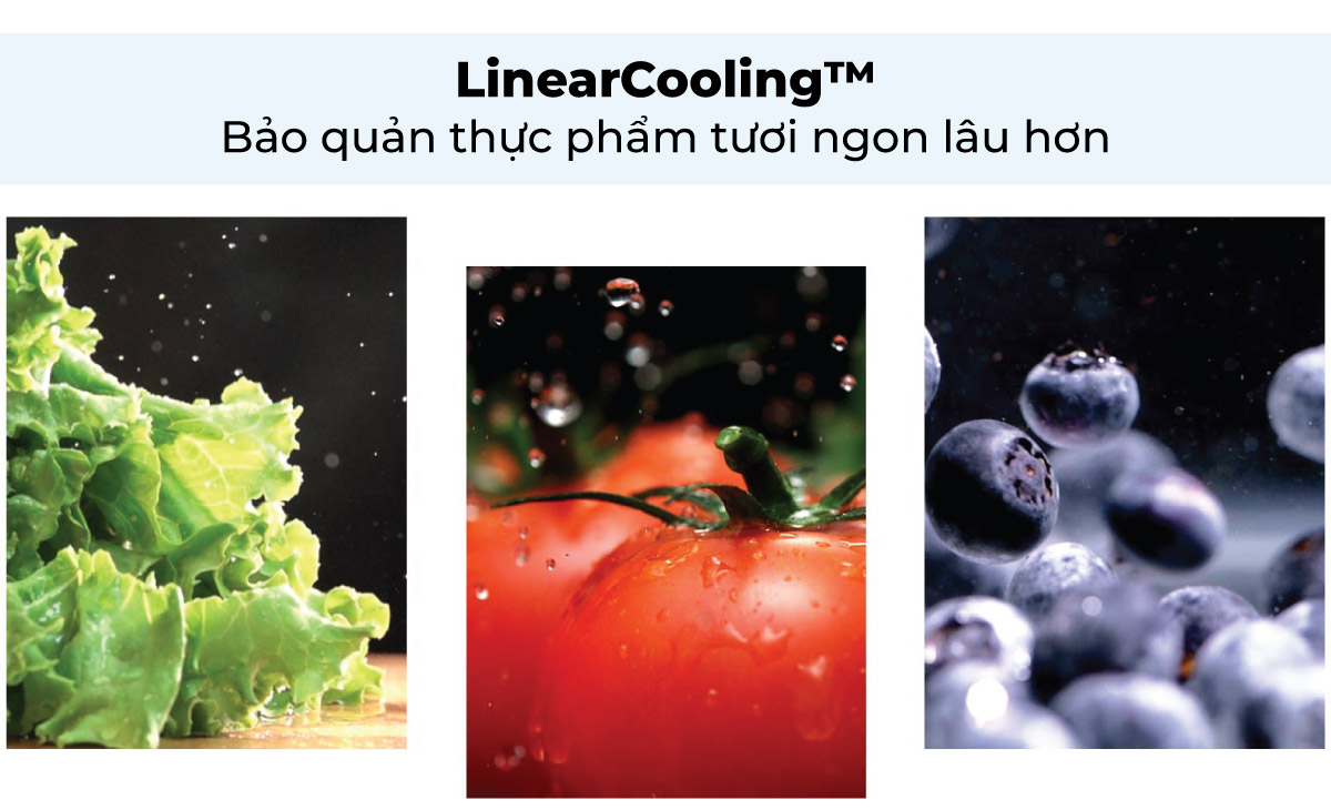 Công nghệ LINEARCooling giúp bảo quản thực phẩm tươi lâu hơn